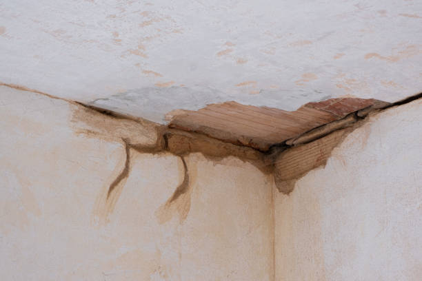 Best Commercial water damage restoration  in Blue Jay, OH