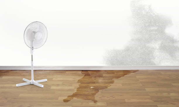 Best Flooded house restoration  in Blue Jay, OH