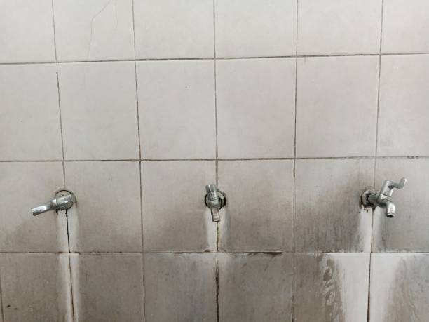 Best Flood restoration services  in Blue Jay, OH