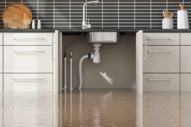 Best Residential water damage restoration  in Blue Jay, OH